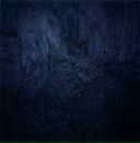 Фотография Новикова Николая