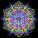 Фотография Винтер Натальи