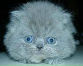 Фотография Кокоулиной Оксаны