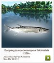 Діма Мікулеску фотография #20 (источник - https://vk.com/id148218934)