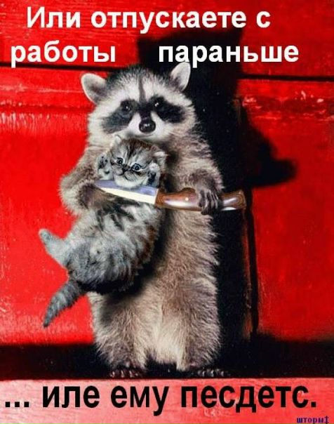 Антон Фурманенко фото №8