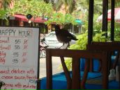 Фотография Озерского Алексея