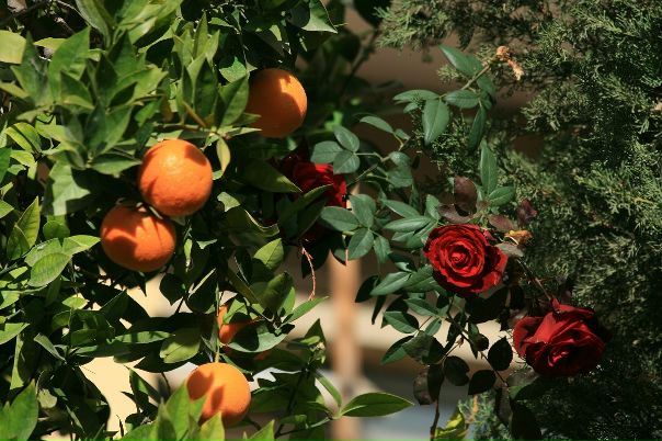 №6, Вилора Жигалова, 46 лет, Санкт-Петербург №6, Вилора Жигалова, 46 лет, Санкт-Петербург