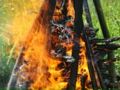 Діма Яценко фотография #35 (источник - https://vk.com/id12352602)