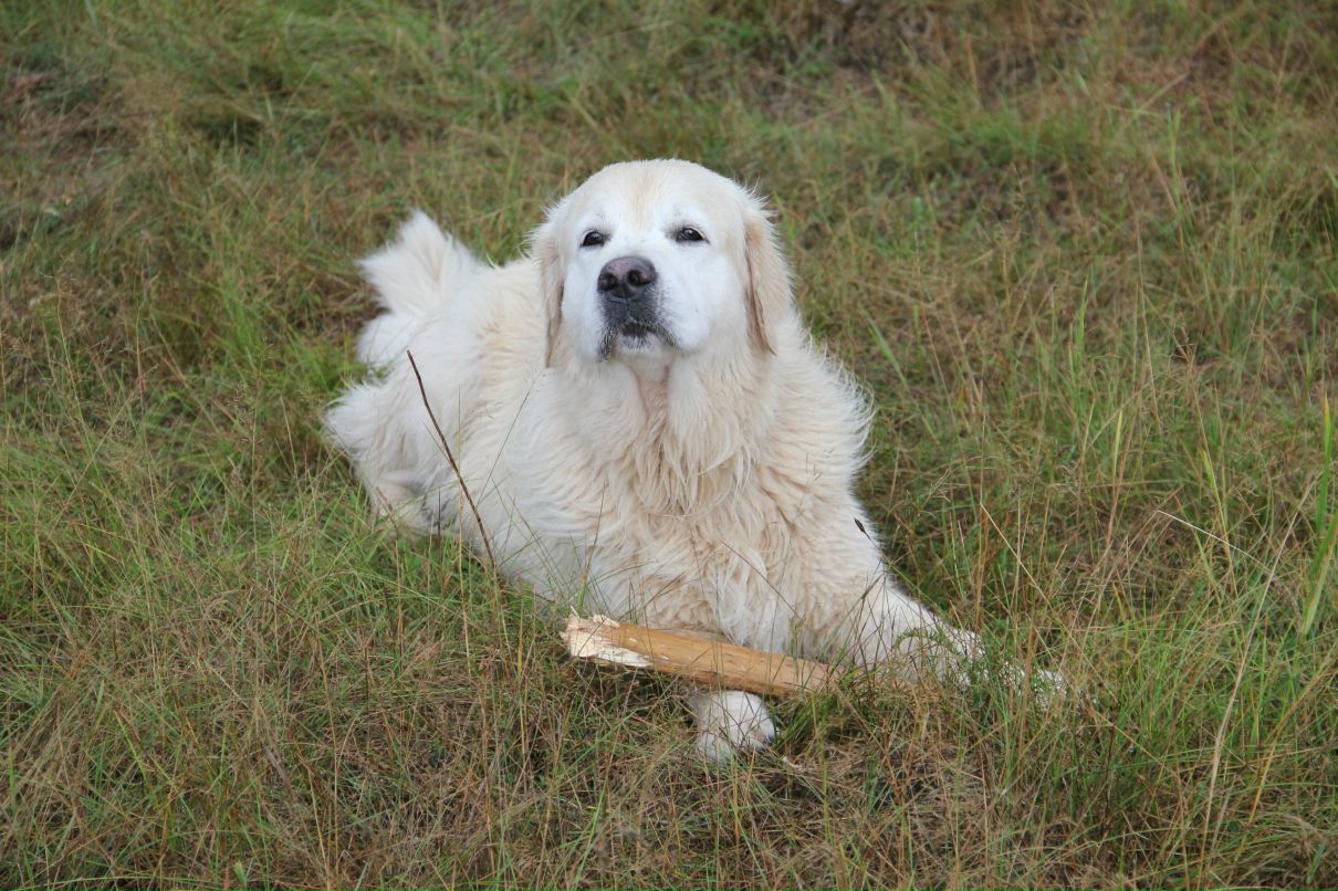 Иван Любченко фотография #47