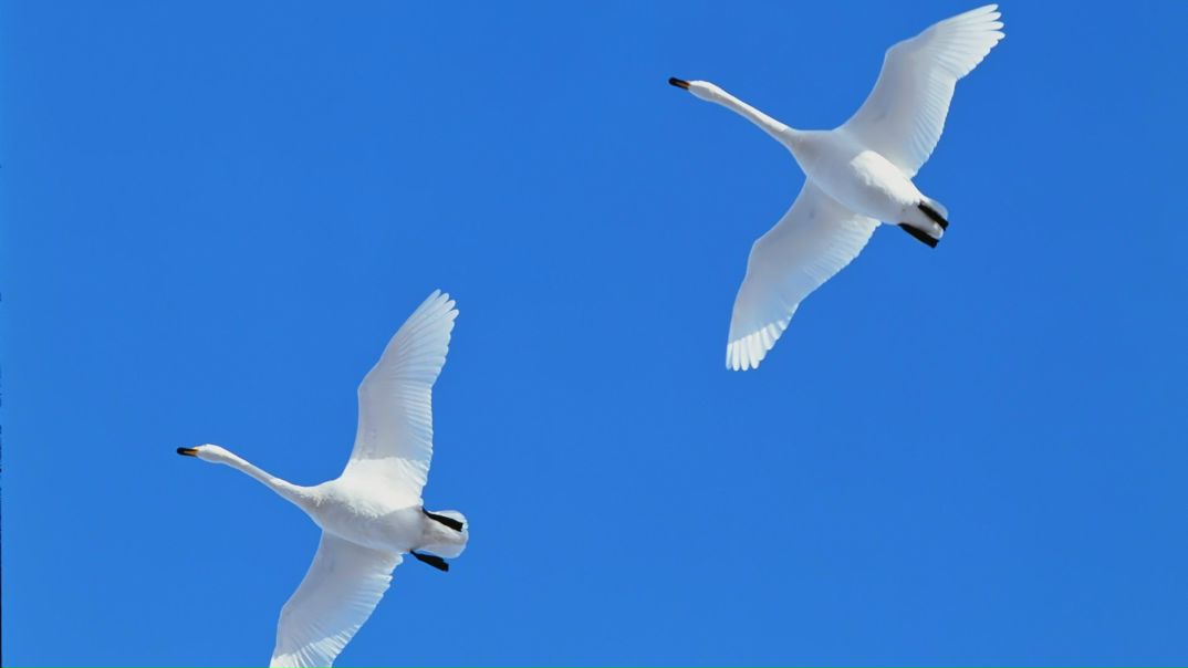 Kim Fly фото №44