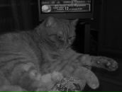 Фотография Лазаревой Ольги