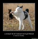 Фотография Ли Лизы