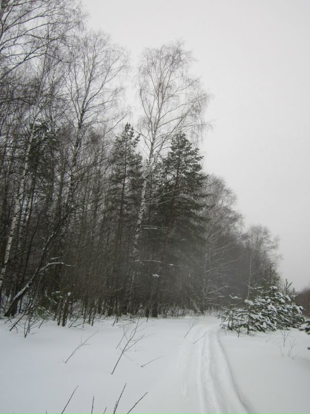 Дмитрий Козлов фотография #19