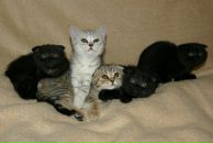 Алёна Смайл=) фотография #14 (источник - https://vk.com/id131650175)