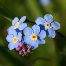 Фотография Карамутдиновой Динары