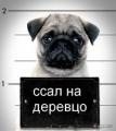 Фотография Алексеева Ольга