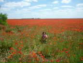 Фотография Майборода Вадим