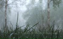 Фотография Мручак Марии