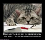 Фотография Исаева Ромы