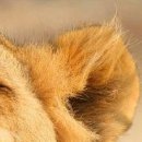 أنفسهم أحب фотография #7 (источник - https://vk.com/id145913596)