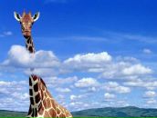 Фотография Задорожного Фёдора