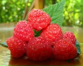 Фотография Абдасовой Анастасии