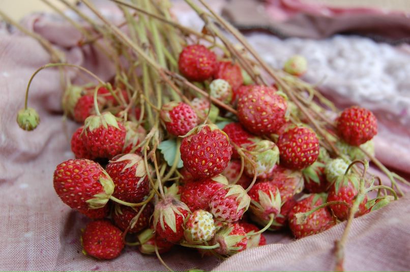 Михаил Иванов фотография #8