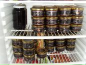 Фотография Гурьевой Анны