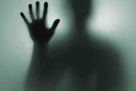 Фотография Лисый Дойна