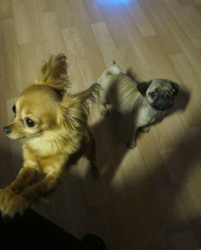 Дашулька Куприна фотография #47