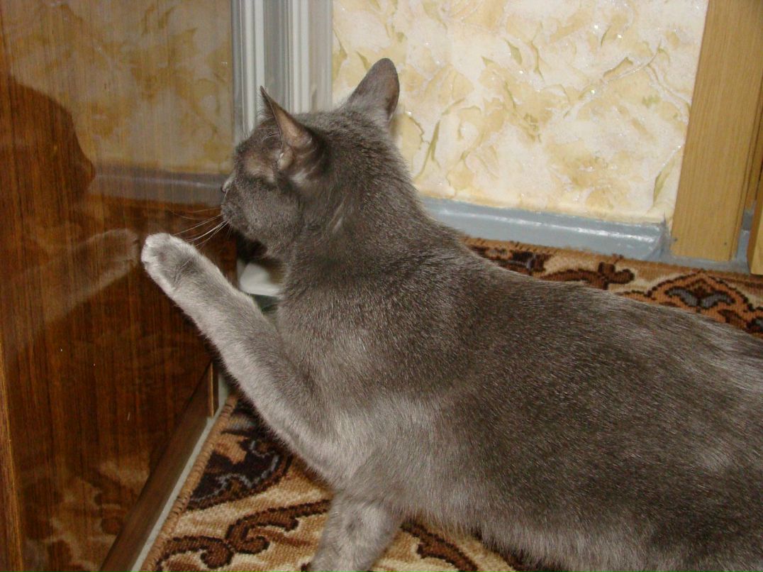 Илья Воробьев фотография #49