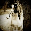 Фотография Алексеева Фотограф Светланы