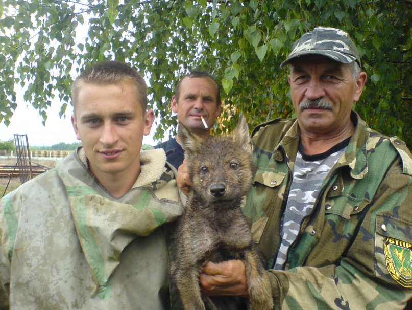 Дмитрий Лазука фотография #36