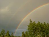 Фотография Моревой Татьяны