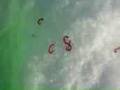 Фотография Татаурова Данила