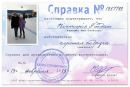 Вікуся Гойдаш фотография #22 (источник - https://vk.com/id164027494)