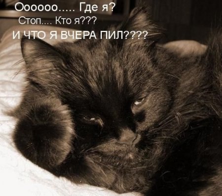 №12, Антон Спицкий, 38 лет, Москва №12, Антон Спицкий, 38 лет, Москва