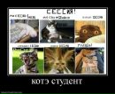 Андрій Задворний фотография #31 (источник - https://vk.com/id59229546)