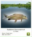 Міша Загурський фотография #4 (источник - https://vk.com/id136387337)