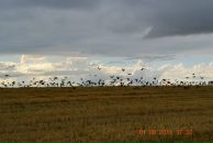 Фотография Матвеевой Юлии