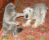 Фотография Козловой Юли