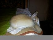 Ленчик Стрельникова фотография #14 (источник - https://vk.com/id529601)