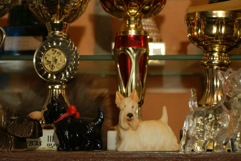 Anton Kasimov фотография #22