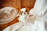 Фотография Журавлевой Кати