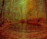 Фотография Ольковой Натальи