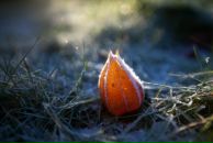 Фотография Shevchenko Inna