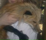 Фотография Васечкиной Елизаветы