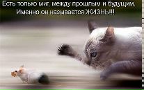 Яна Минакова фотография #19 (источник - https://vk.com/id10141522)