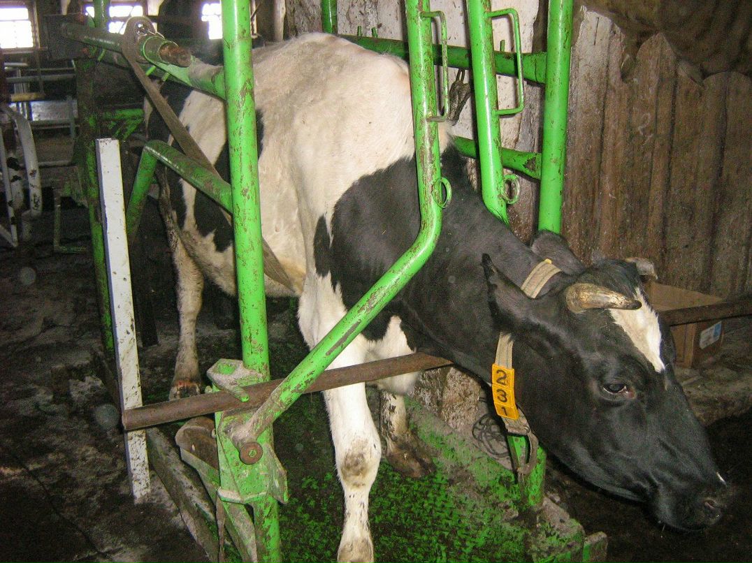 Иван Плотников фотография #36