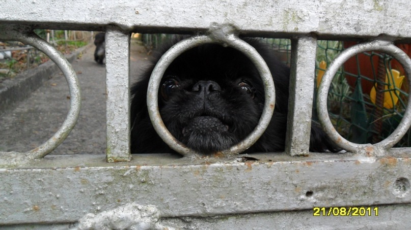 Ольга С фотография #49