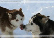 Фотография Коротковой Юлии