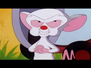 Пинки, Элмайра и Брейн (5 сезон 18 Серия)