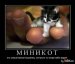  фотография #34