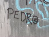 Фотография Егиевой Марии